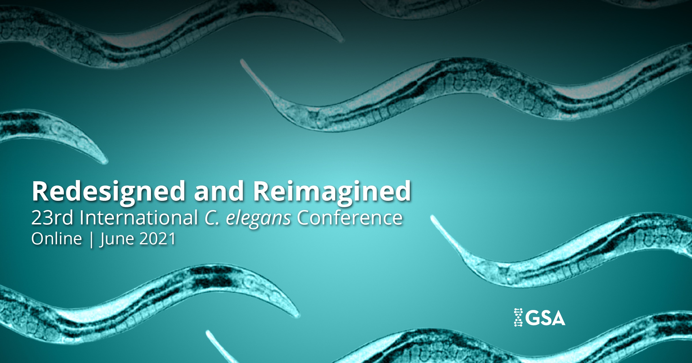 23rd International C. elegans Conference