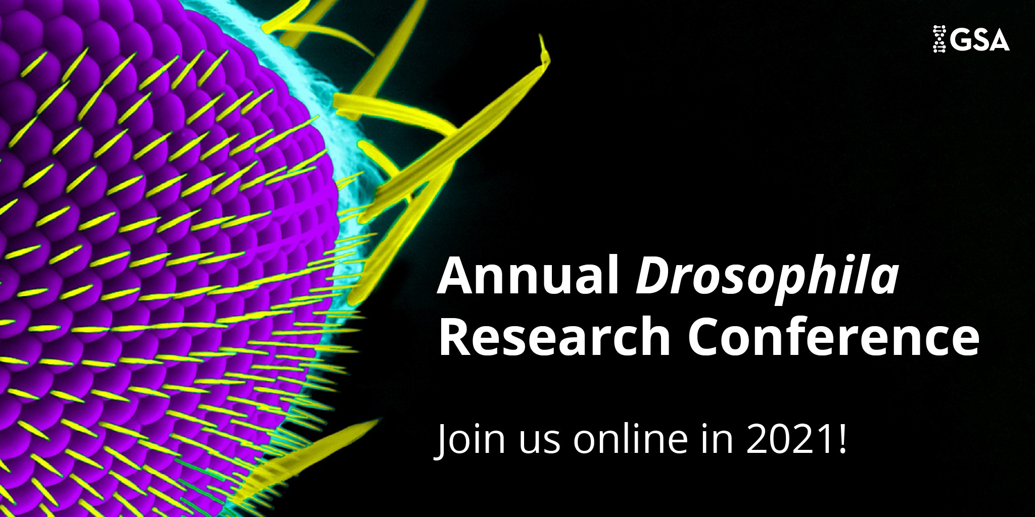 Schedule 64th Annual Drosophila Research Conference
