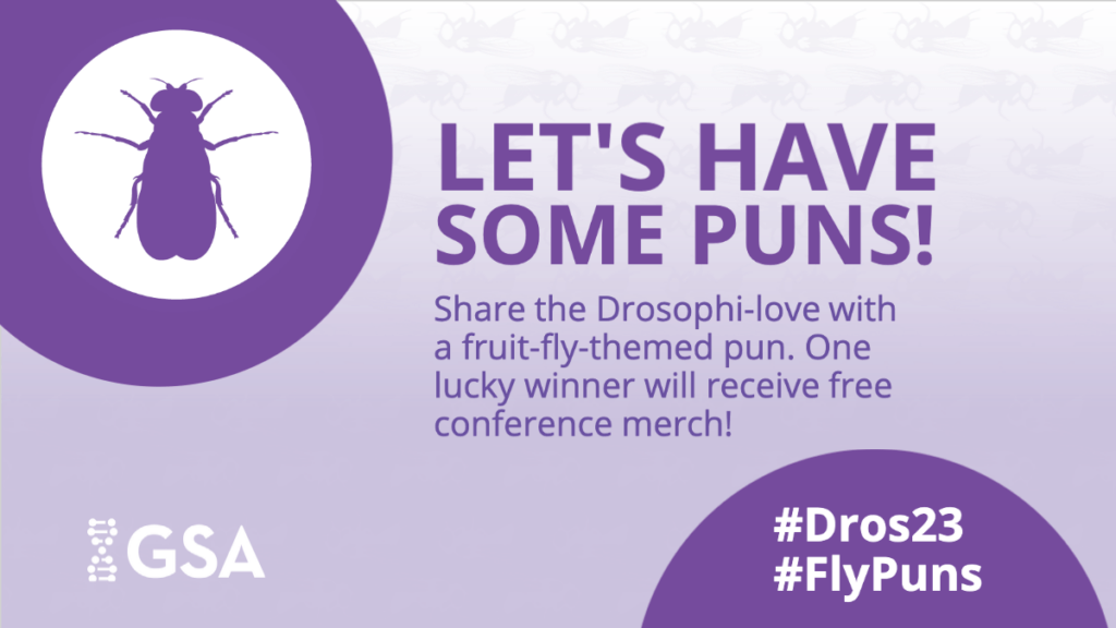 Let's have some puns! Share the Drosophila-love with a fruit fly themed pun for the chance to win free conference merchandise! #Dros23 #FlyPuns