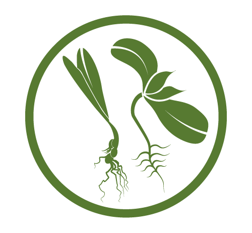 Plant logo