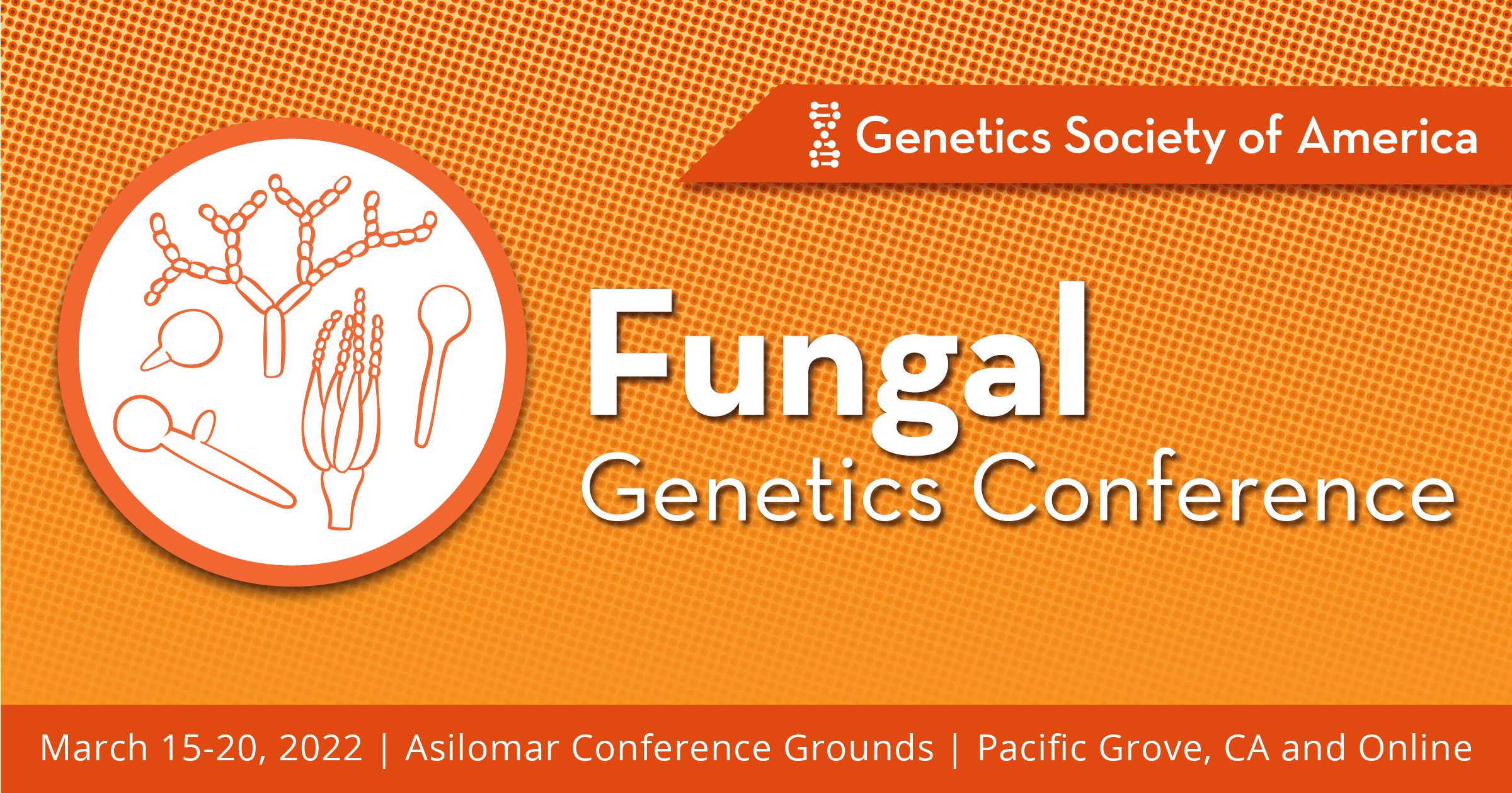 31st Fungal Conference