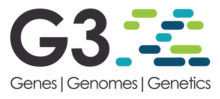 G3 logo