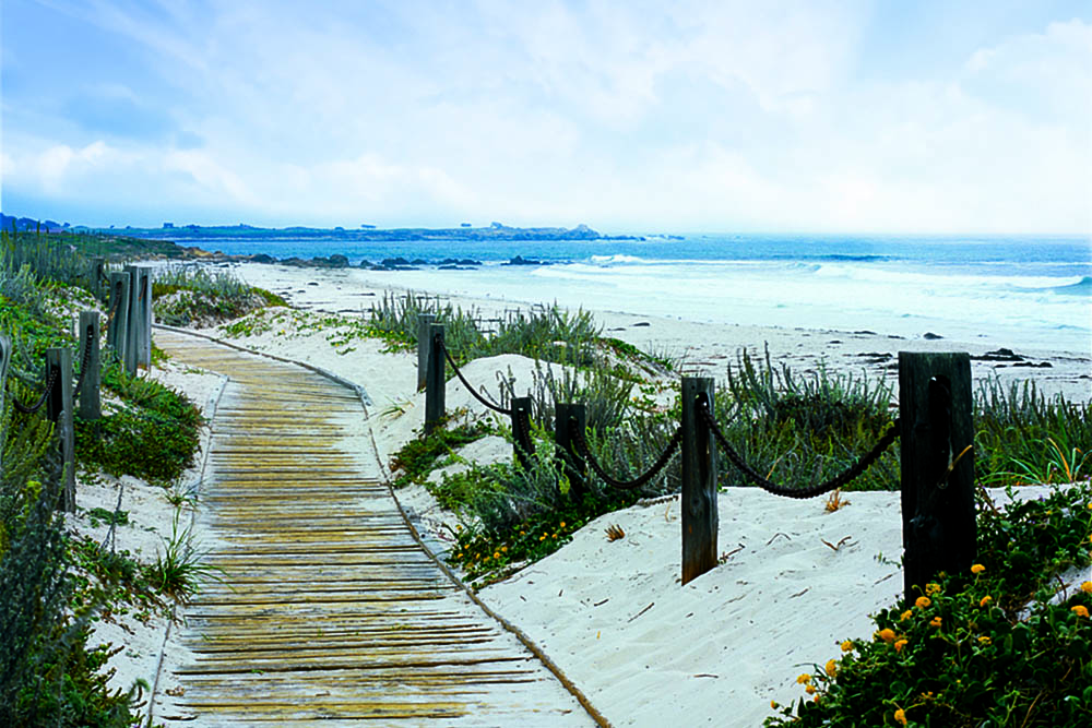 Asilomar Conference Grounds