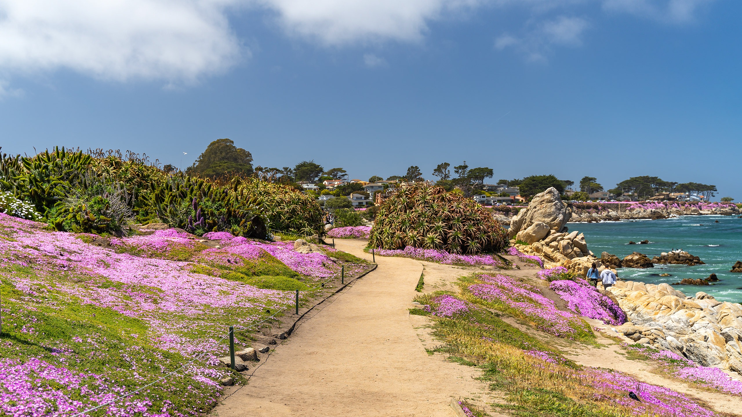 Asilomar Conference Grounds | Pacific Grove, CA