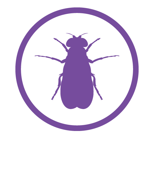 Drosophila icon