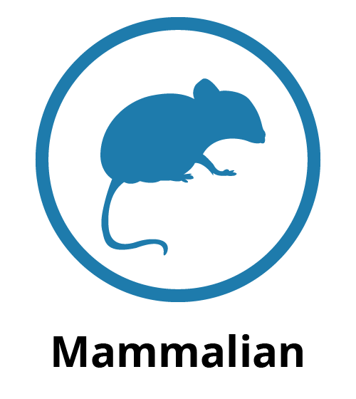 Mammalian logo