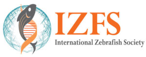 IZFS logo