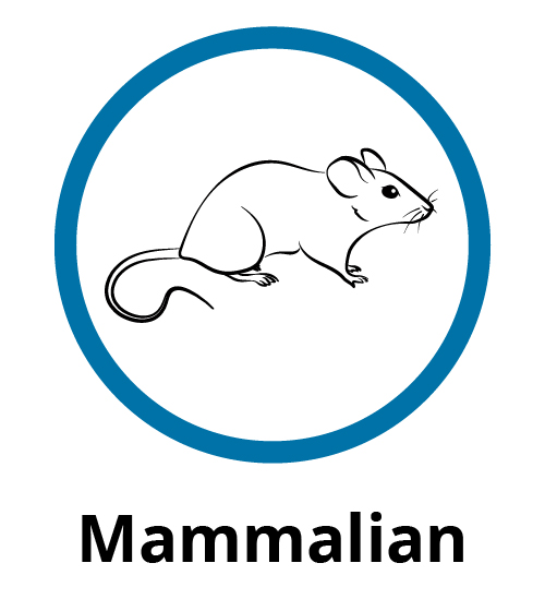 Mammalian icon
