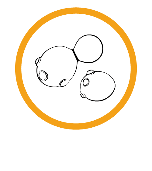 Yeast