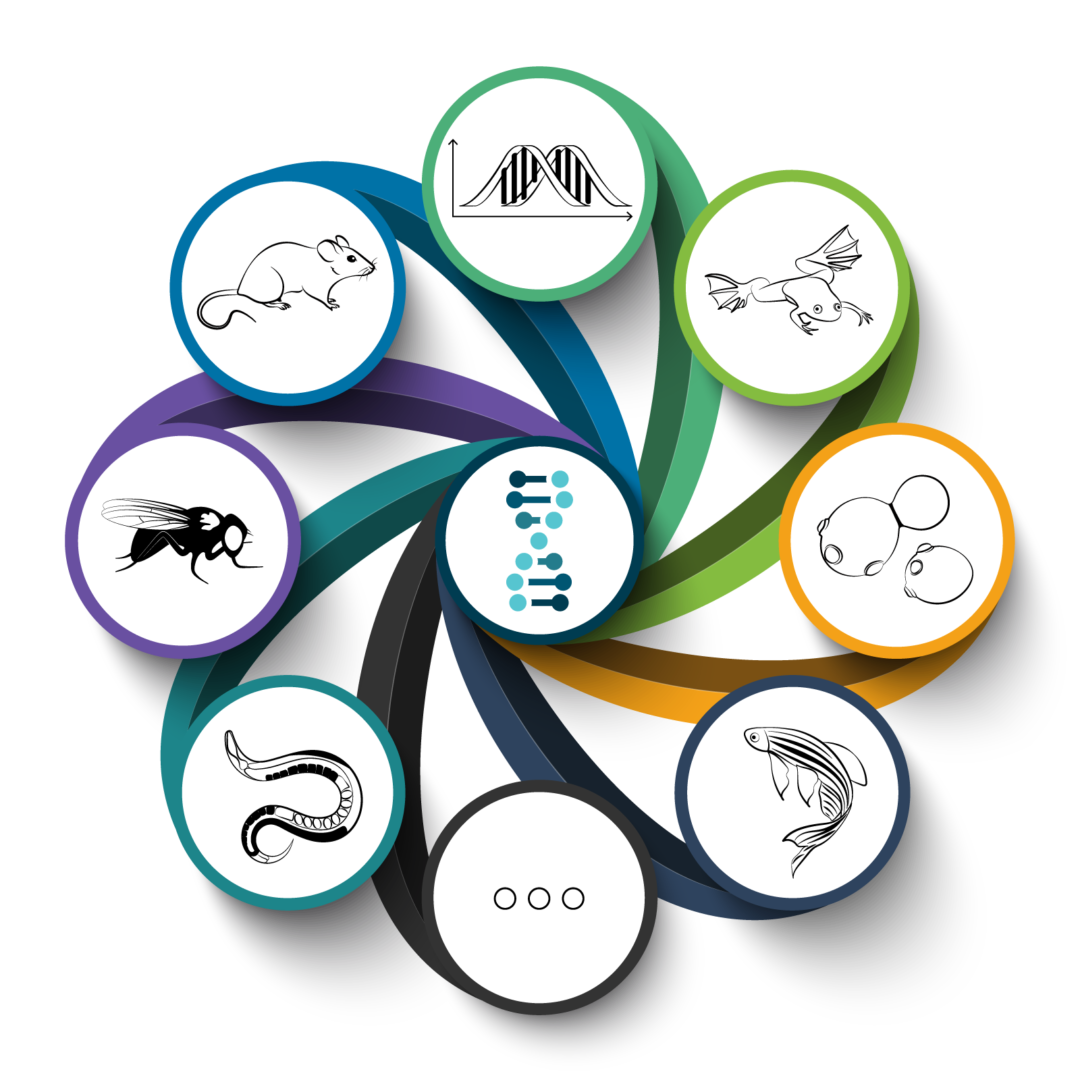 Models of Human Disease at TAGC 25th International Worm Meeting