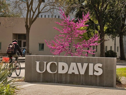 UC Davis sign