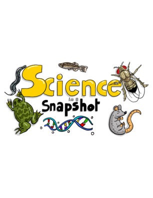 Illustrated logo for Science in a Snapshot. Yellow and black bubble text are surrounded by drawings of a DNA strand, mouse, fly, fish, worm, and frog